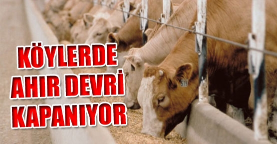 Yeni Statü İle Mahalle Olan Köylerde Ahır Devri Kapanıyor
