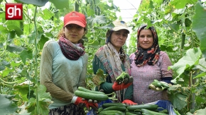 kadın çiftçi 